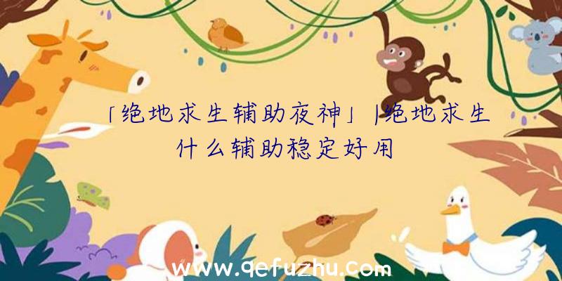「绝地求生辅助夜神」|绝地求生什么辅助稳定好用